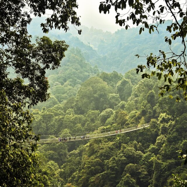 Bridge 7178826 1280 640x640