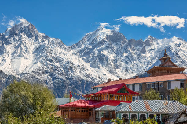 istockphoto 1371289825 612x612